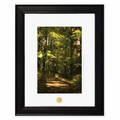 Art Print - "Forest Trail II" by Victoria Fenninger